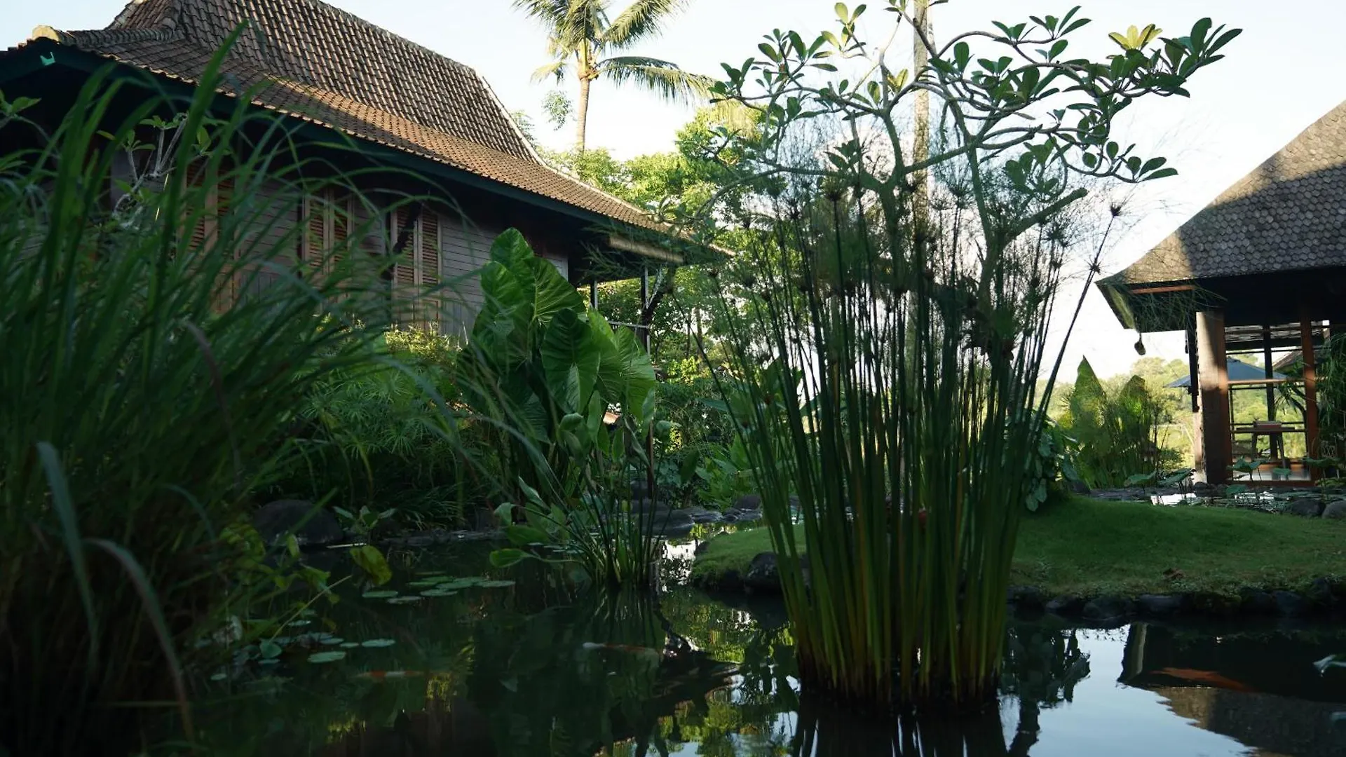 Villa Amaru Ubud